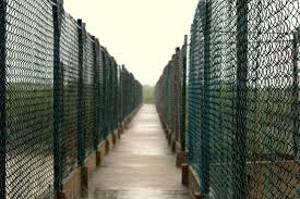 Burirdabri & the Watchtower