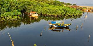 Lothian Island Sanctuary